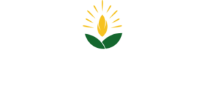 Labela Semente